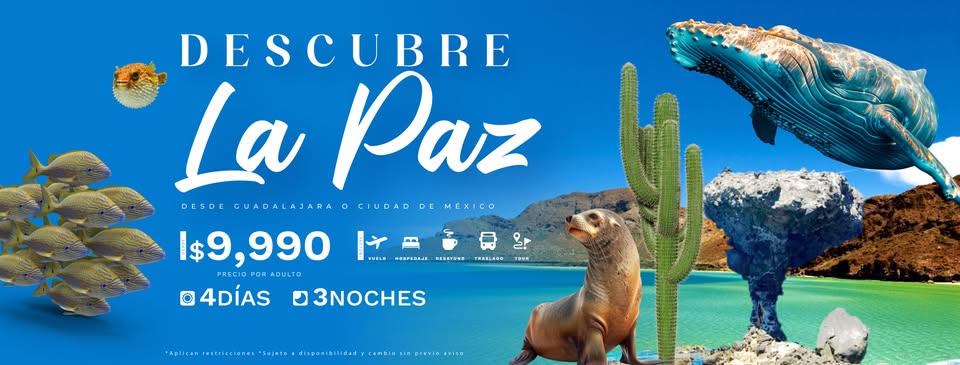 Banner Rutas Agencia de Viajes