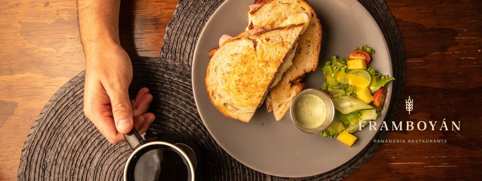 Banner Framboyan Colima