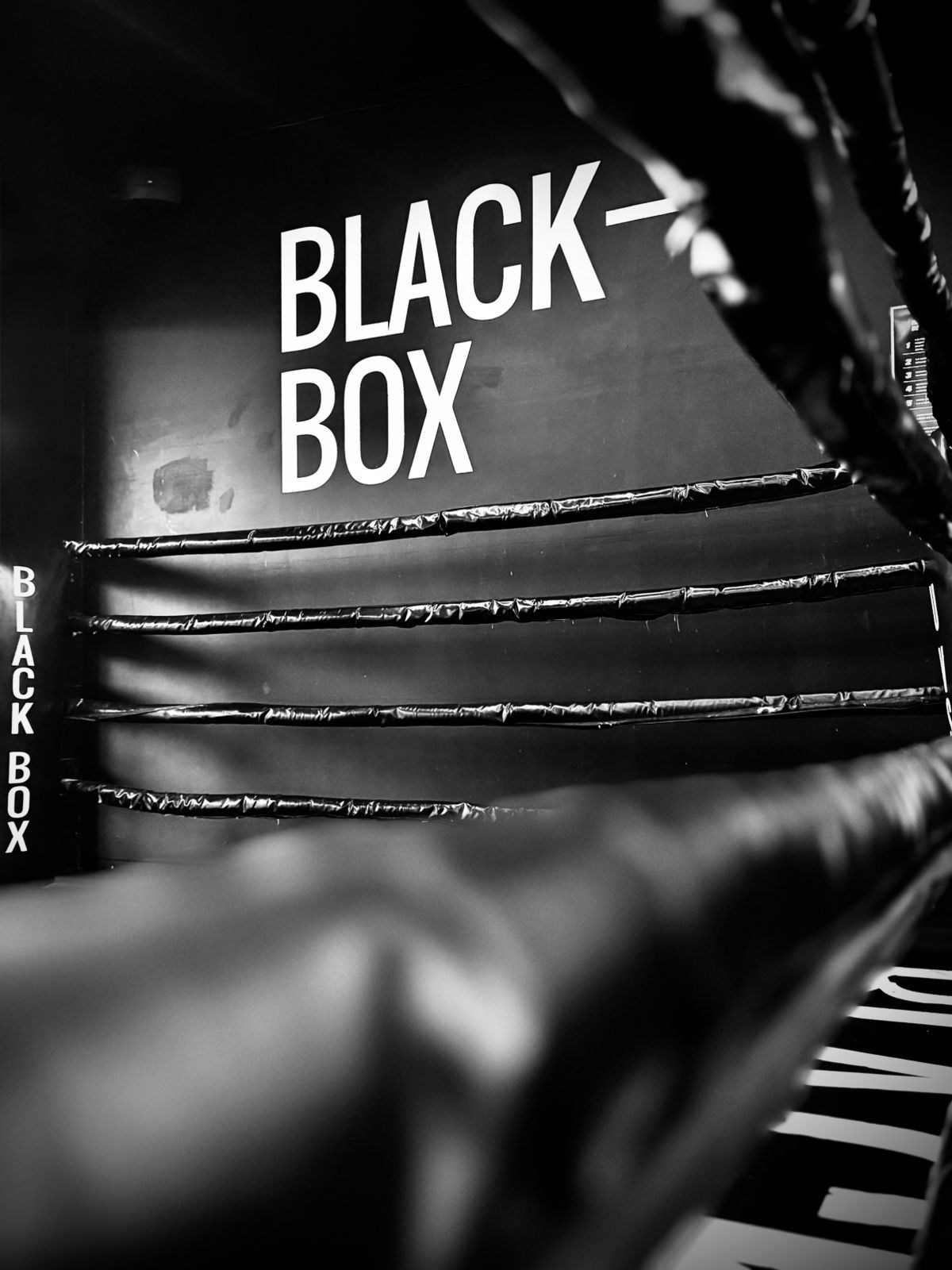 Banner Black Box Colima